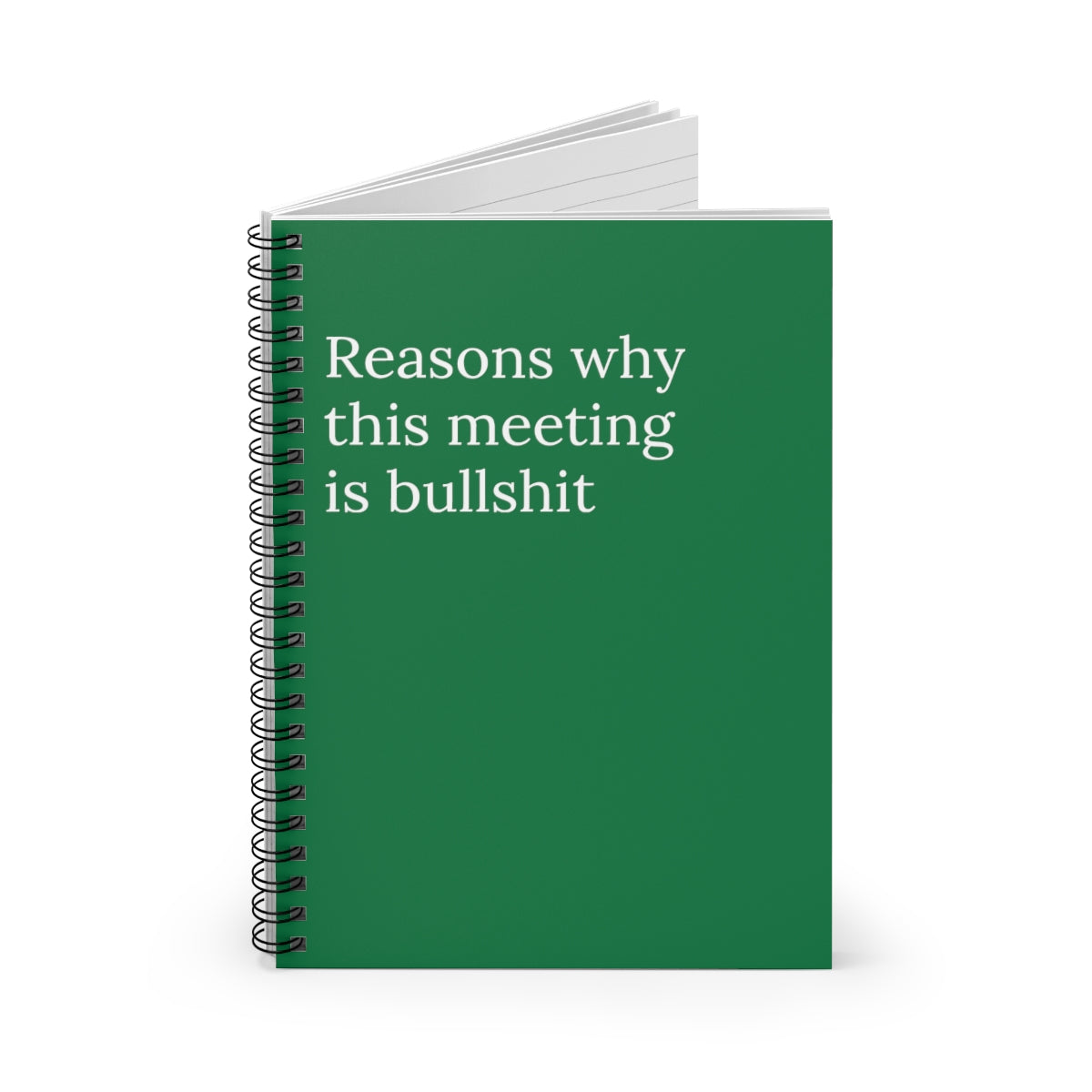 Reasons Why this meeting is bullshit Spiral funny  notebook