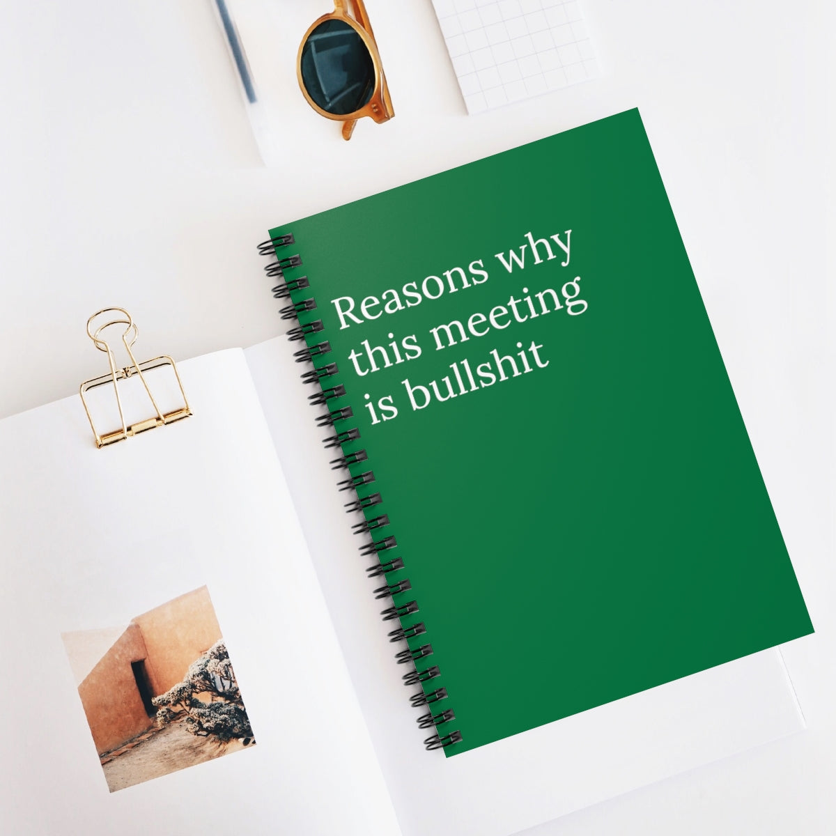Reasons Why this meeting is bullshit Spiral funny  notebook