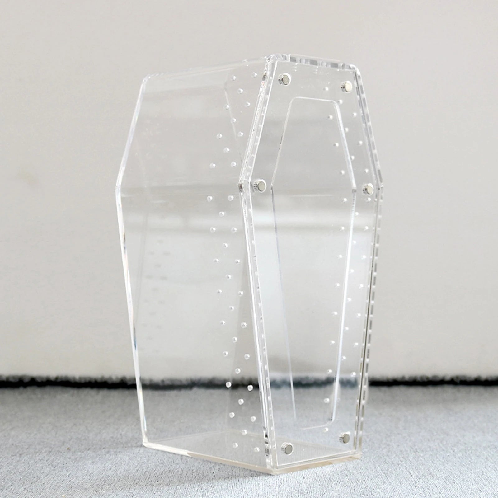 Gothic Coffin-Shaped Acrylic Spider Terrarium – Small Pet Habitat for Tarantulas & Hermit Crabs