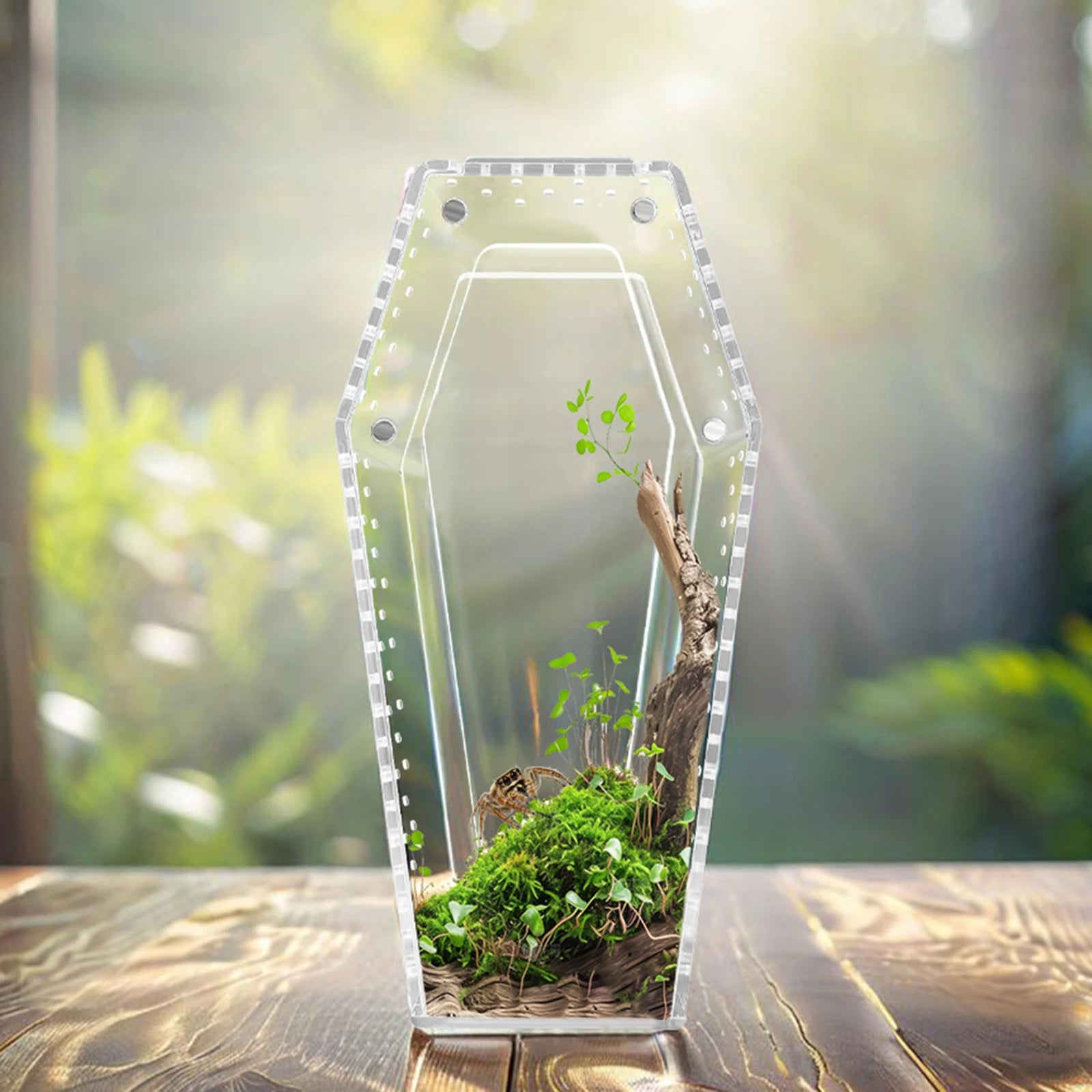 Gothic Coffin-Shaped Acrylic Spider Terrarium – Small Pet Habitat for Tarantulas & Hermit Crabs