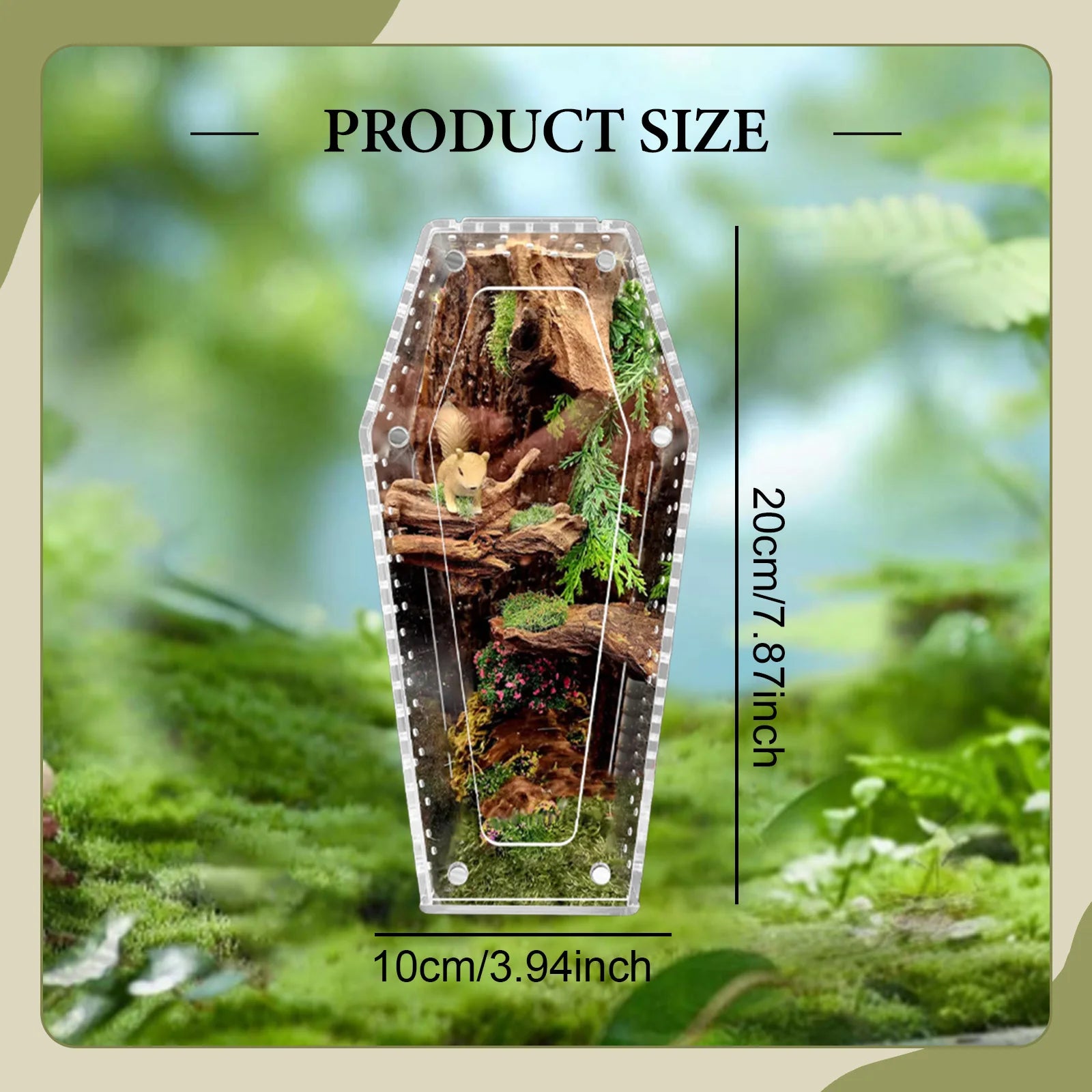 Gothic Coffin-Shaped Acrylic Spider Terrarium – Small Pet Habitat for Tarantulas & Hermit Crabs