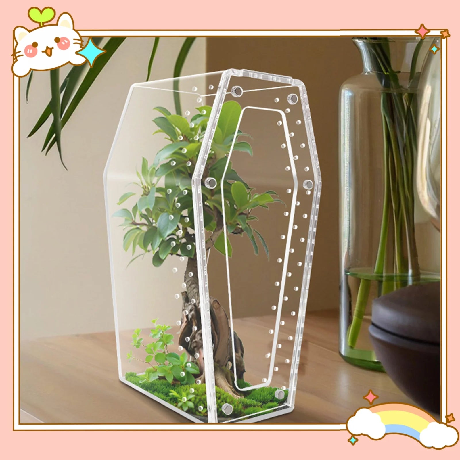 Gothic Coffin-Shaped Acrylic Spider Terrarium – Small Pet Habitat for Tarantulas & Hermit Crabs