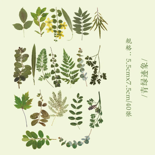 40 Pcs Green Leaf Decorative PET Stickers Set For Scrapbooking Plant Collection Nature Theme
