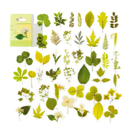 45Pcs Flower Language Kawaii PET Journaling Sticker Set For Gift