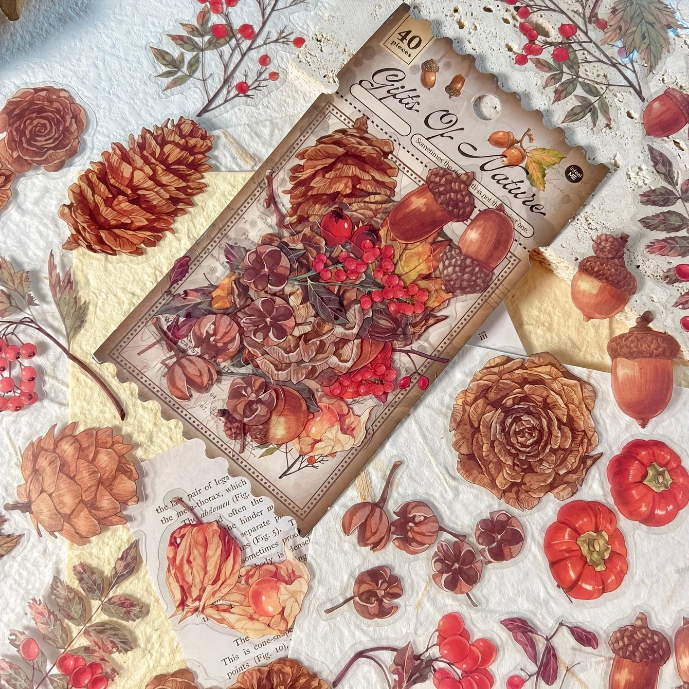 40 Sheets Autumn Leaf And Mushroom Theme Sticker Pack For Journaling DIY Crafts And Projects