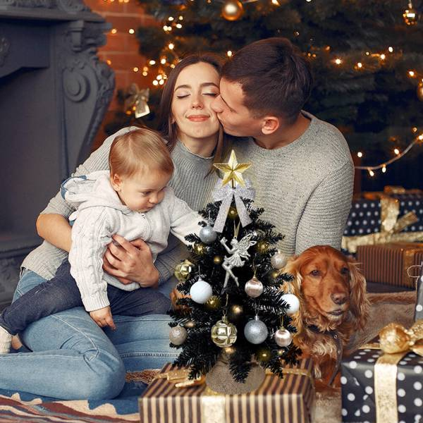 Tiny Tree of Tender Chaos